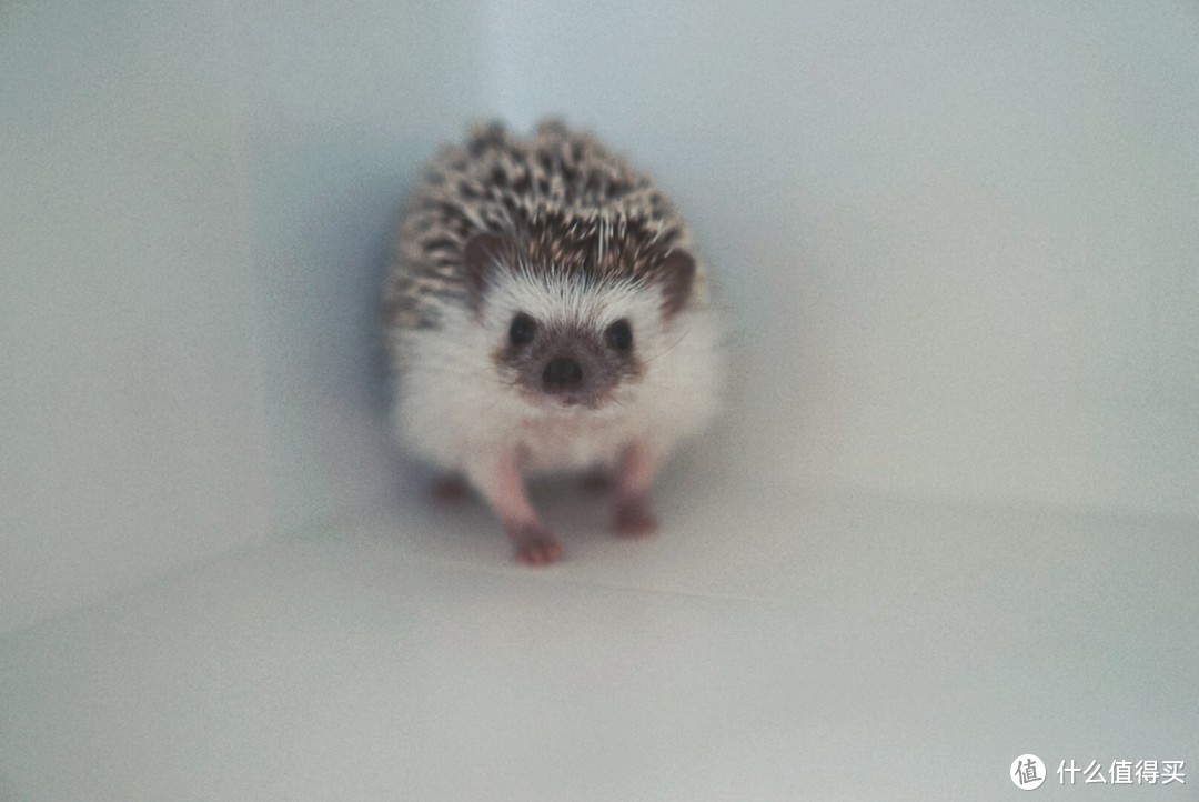 宝妈必备知识锦囊